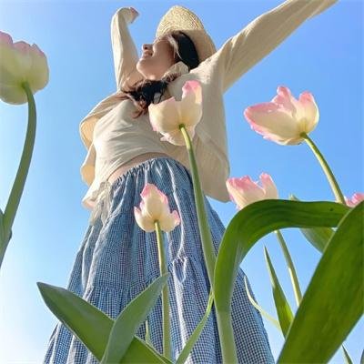 白莲花 剧照